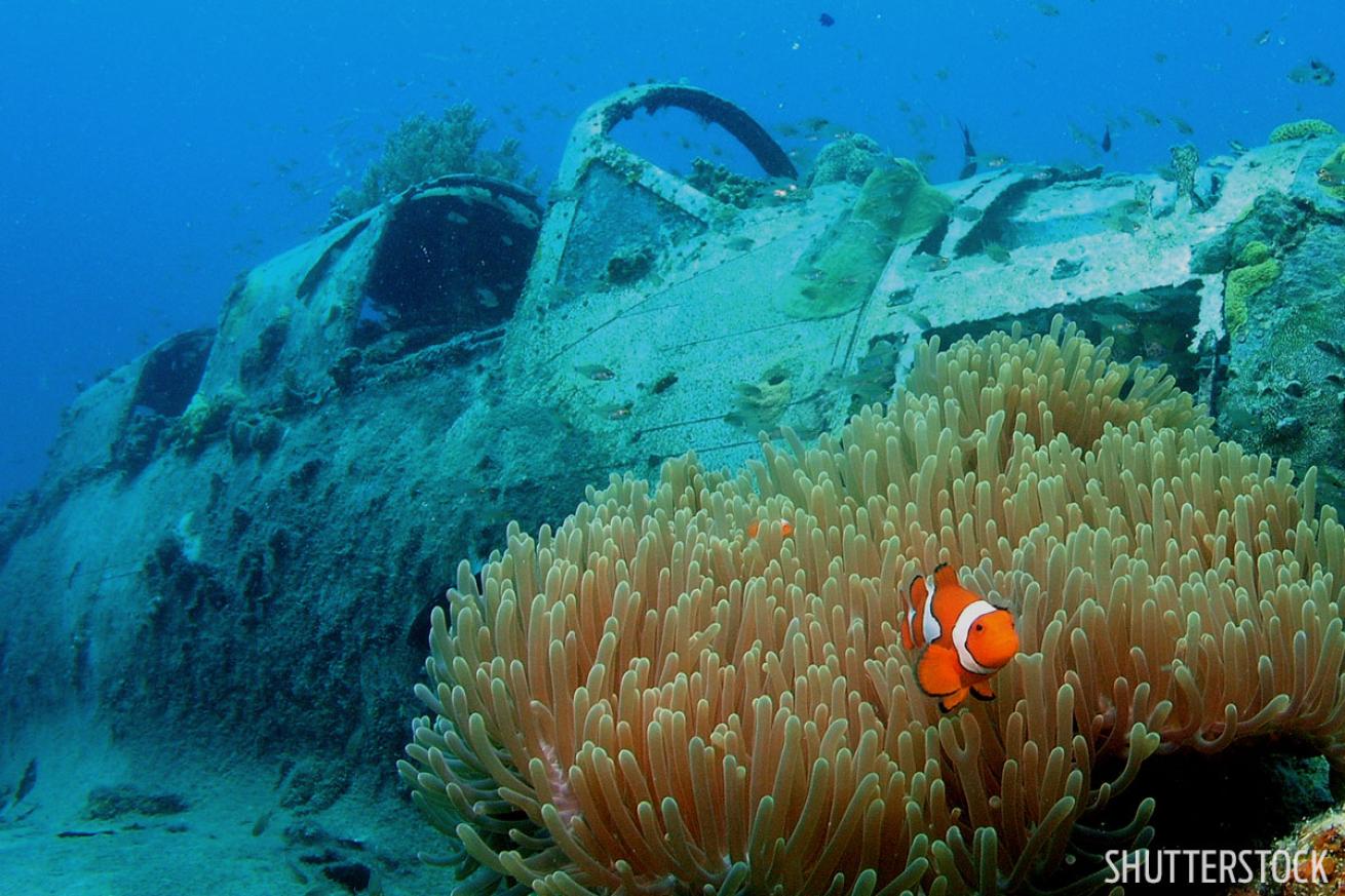 scuba diving in papua new guinea