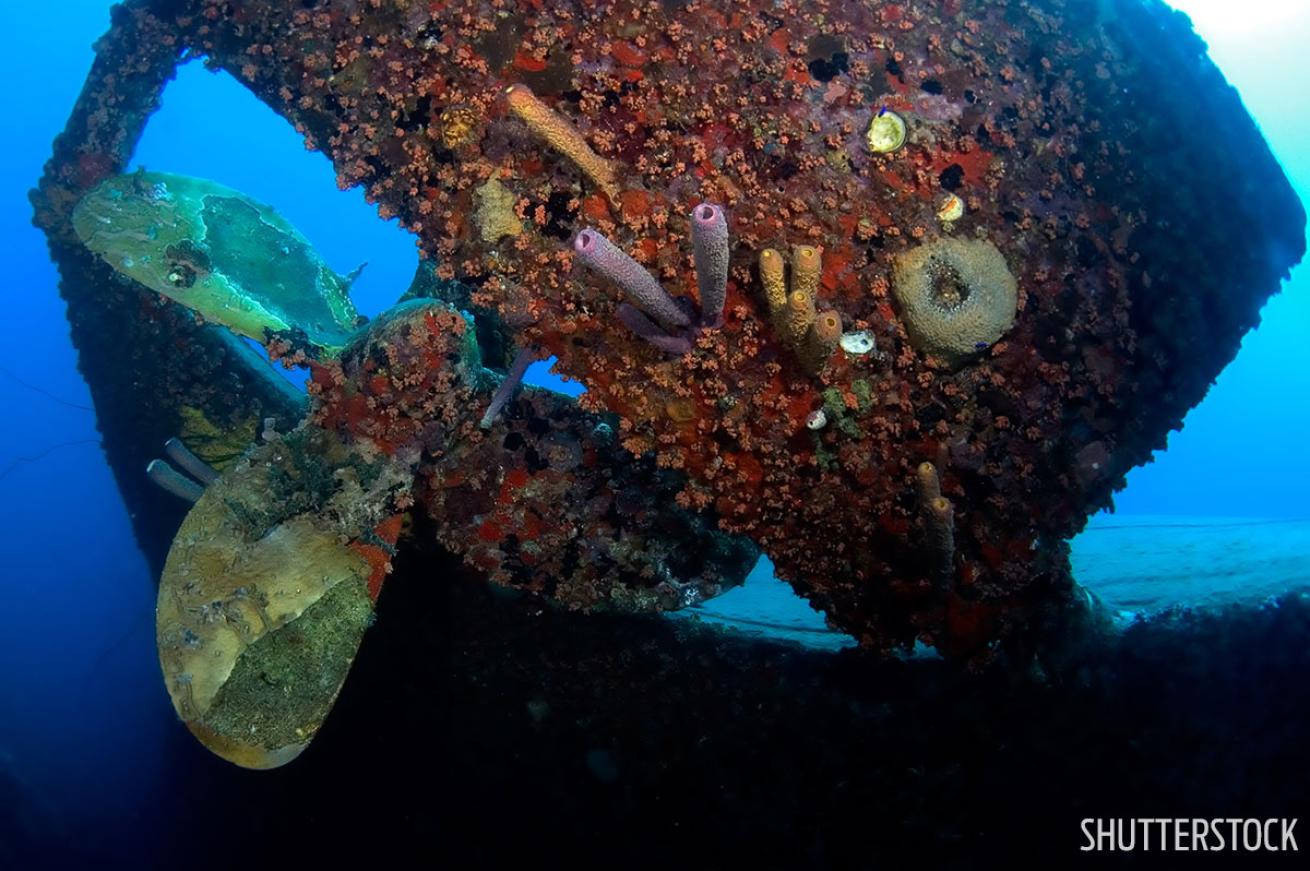 Scuba diving the Hilma Hooker in Bonaire