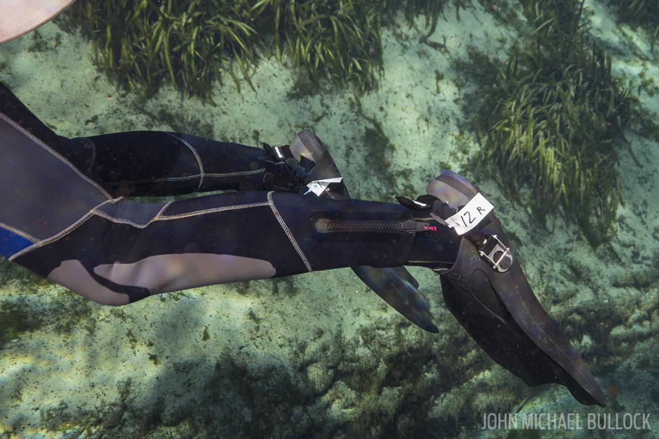 ScubaLab scuba diving fins test review