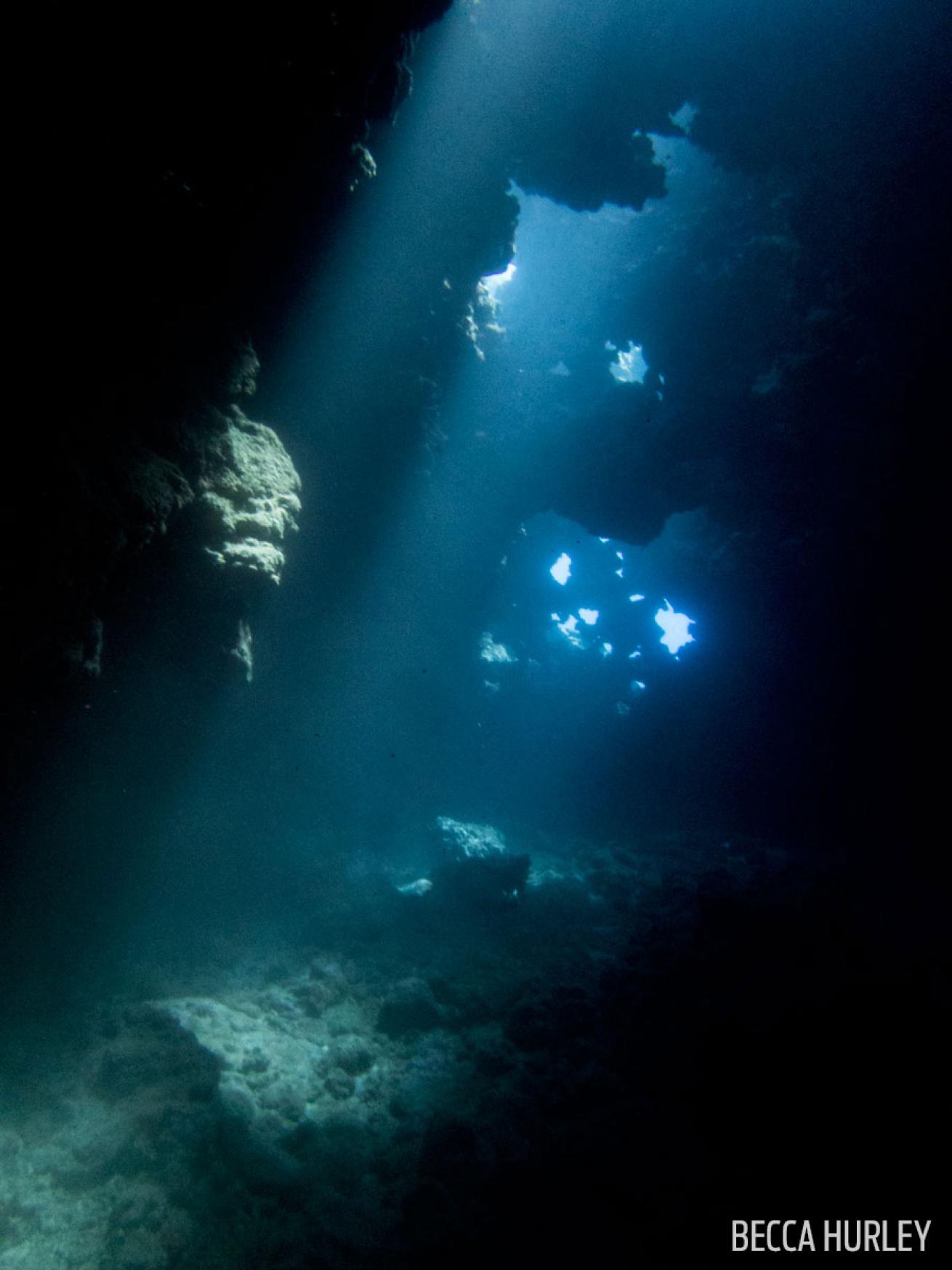 scuba diving Lanai, Hawaii