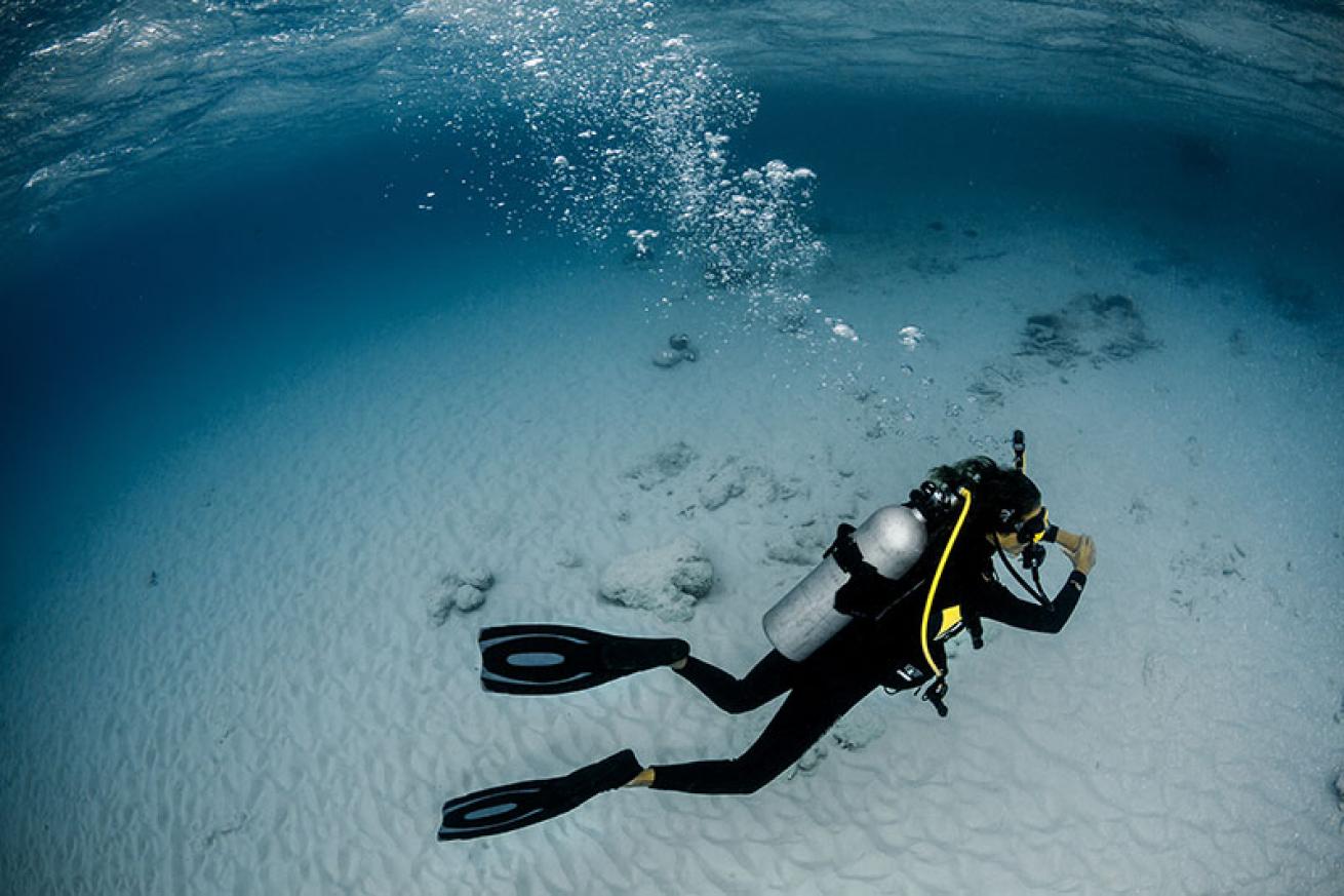 a diver glides over sand