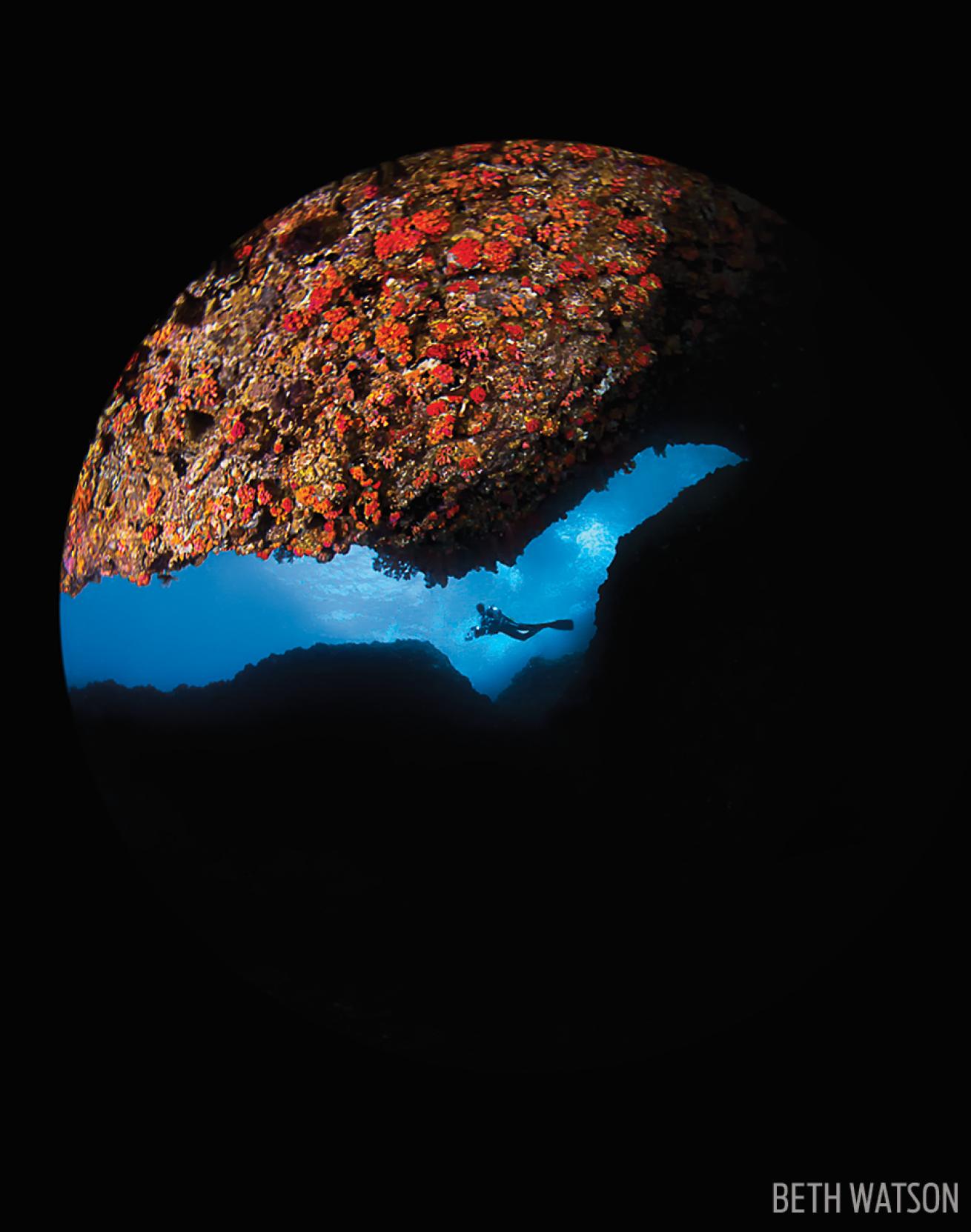 Scuba diving coral caverns on Gato Island in the Philippines