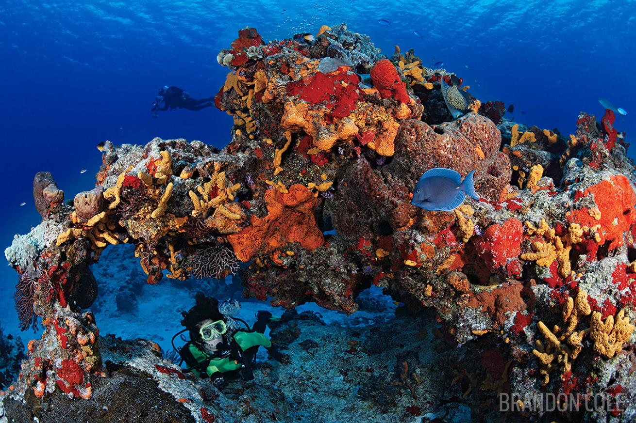 a diver in Cozumel