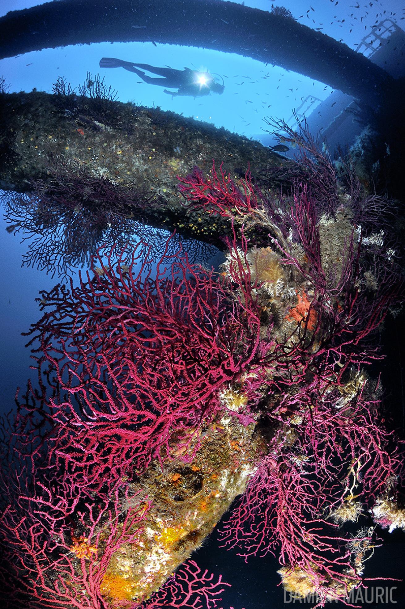 8 Best Scuba Diving Sites in Europe Scuba Diving