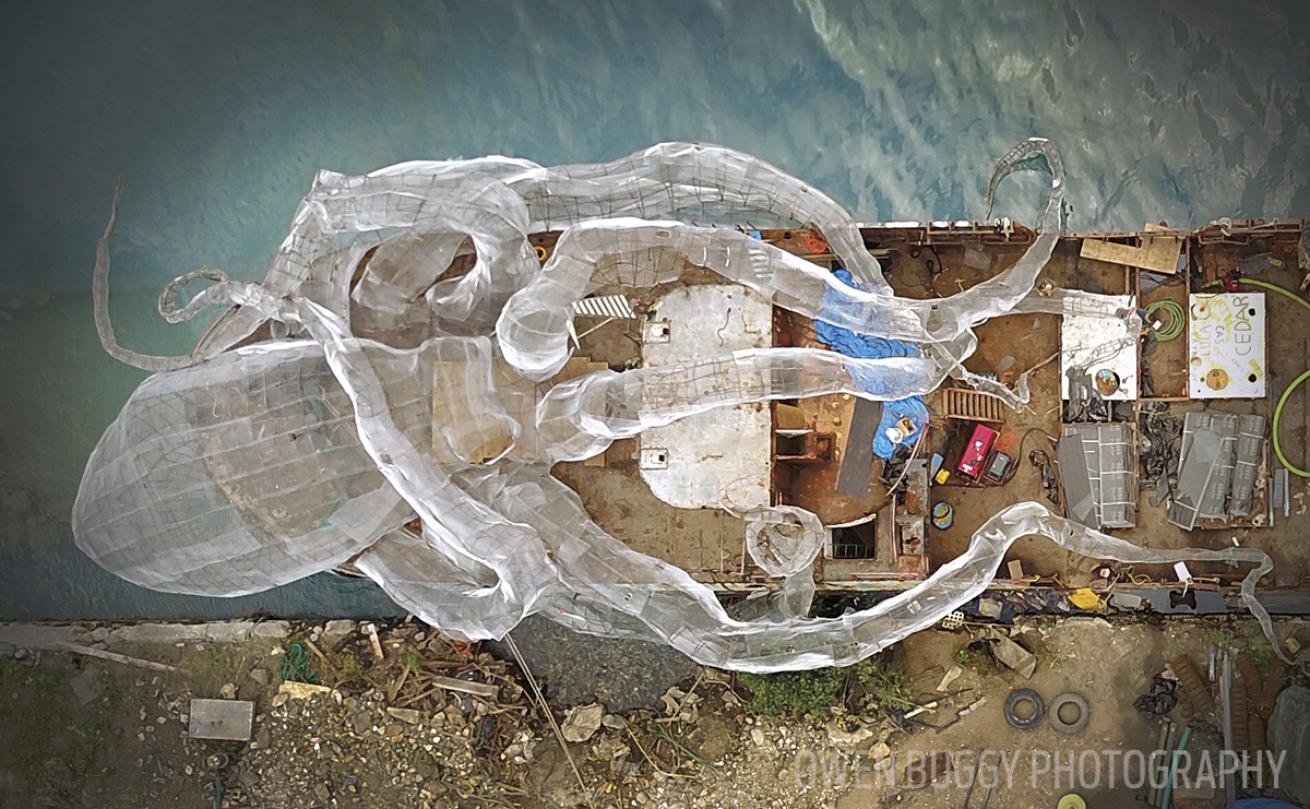 British virgin island artificial reef