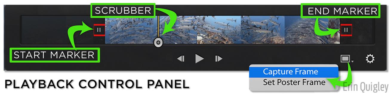 lightroom video editing tips