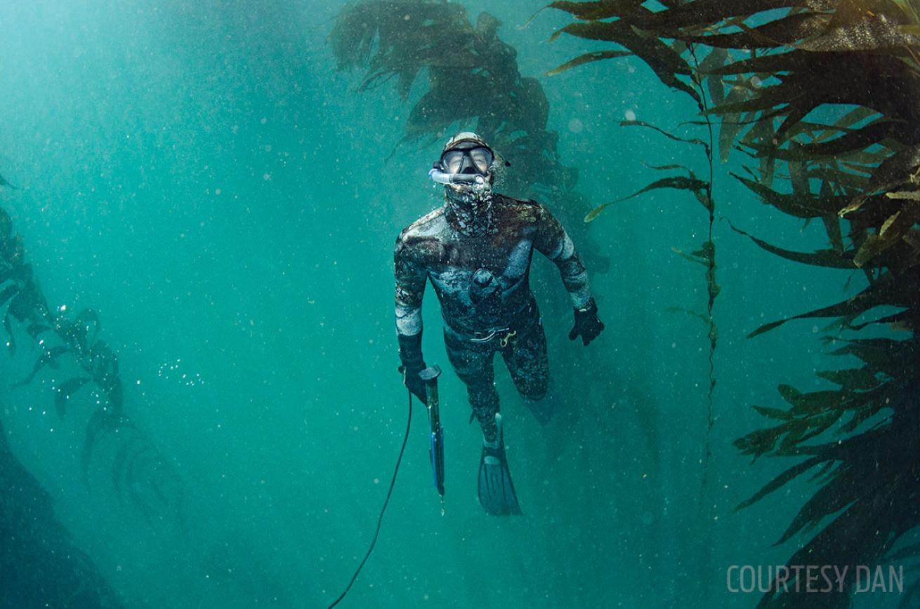 scuba diving and underwater hunting