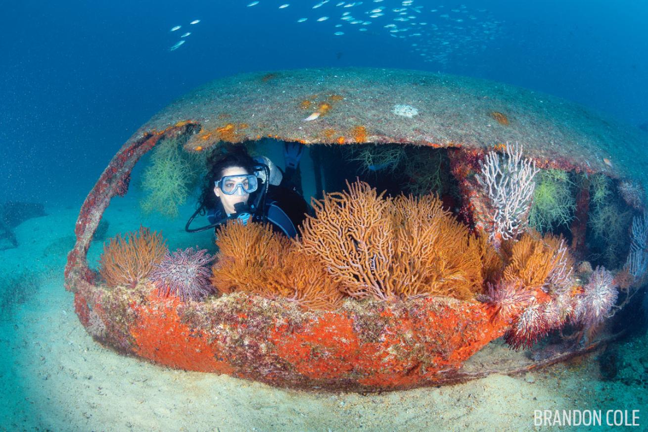 la paz faves scuba diving baja la salvatierra