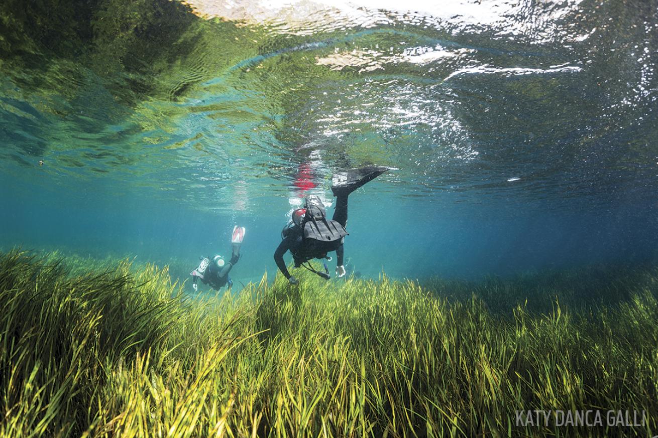 Scuba divers swimming in Florida's Rainbow River
