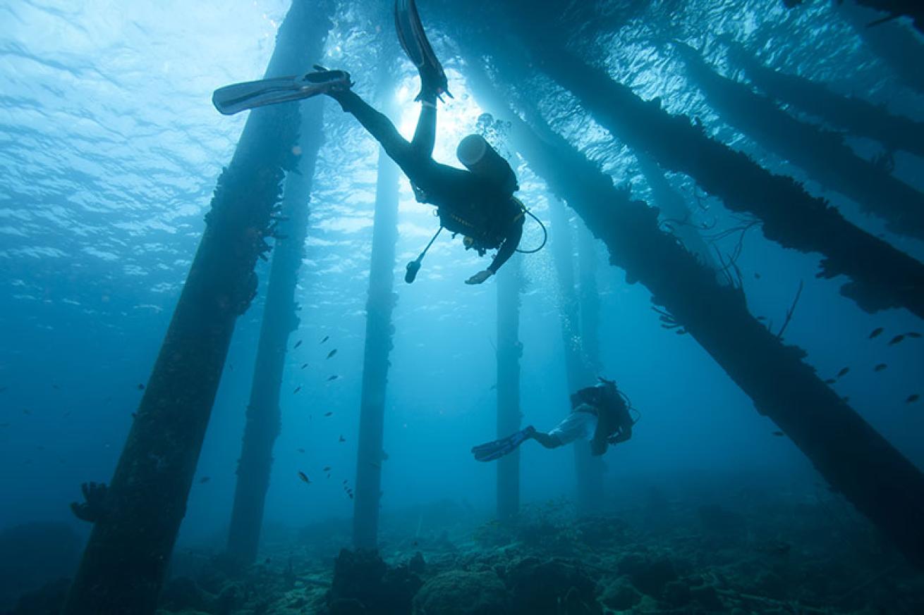 Salt Pier