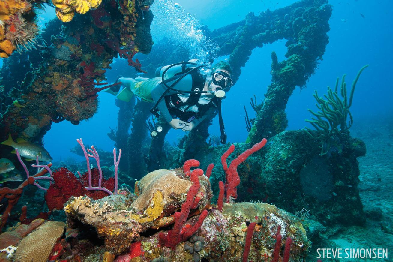 Scuba diving the Rhone