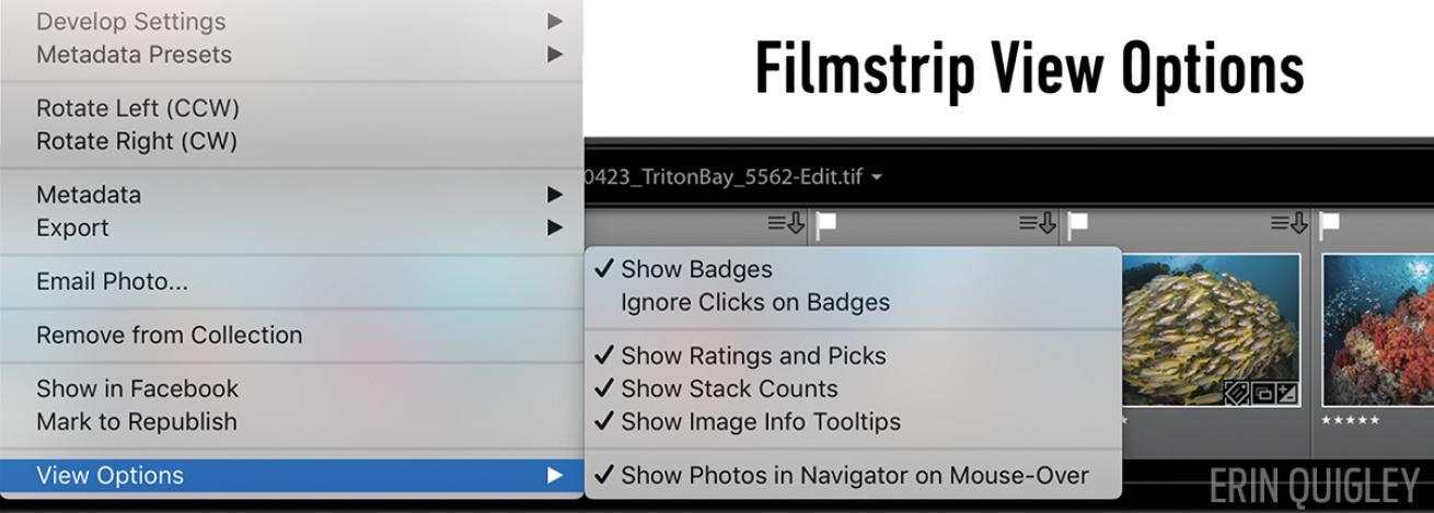 lightroom tutorial