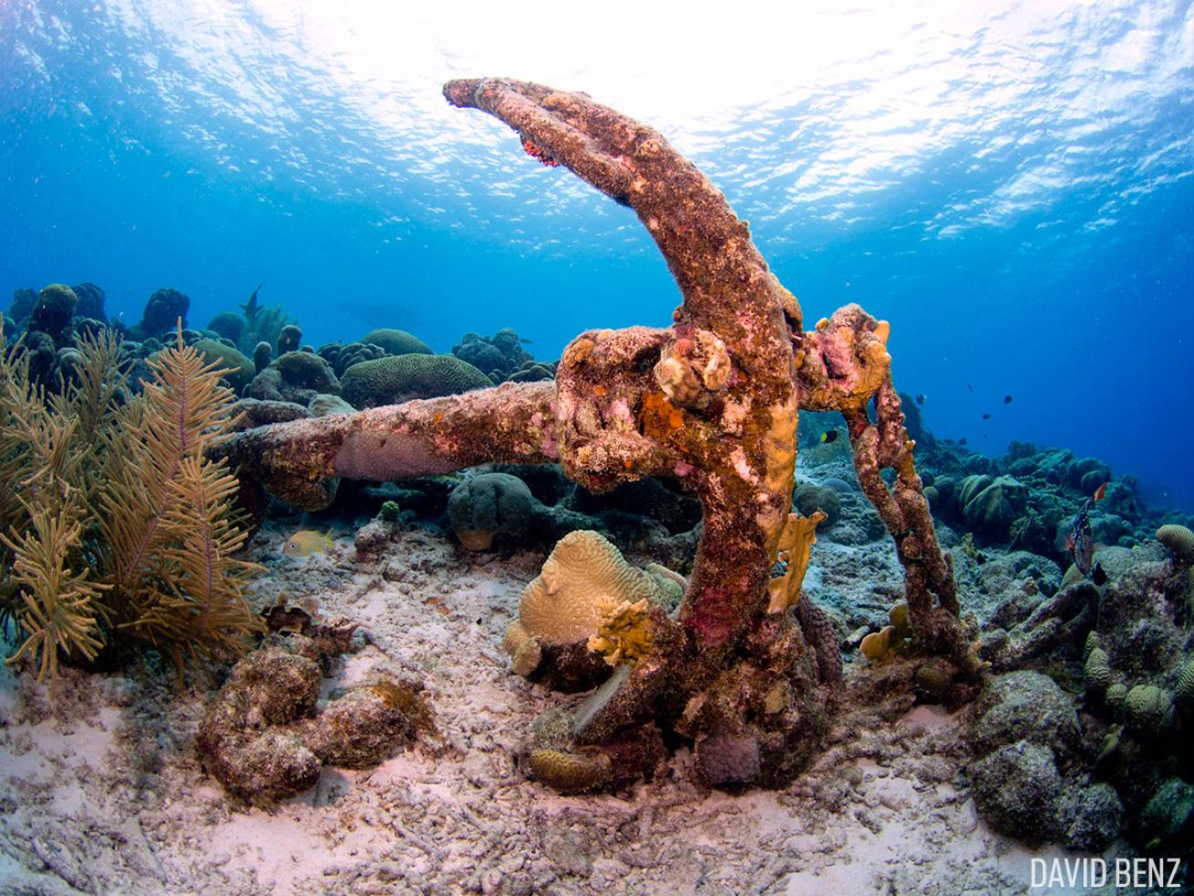 Buddy Dive Shore Dive