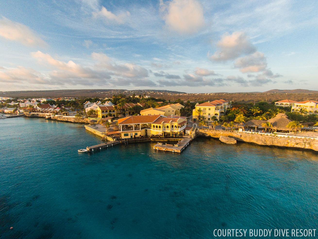 Buddy Dive Resort