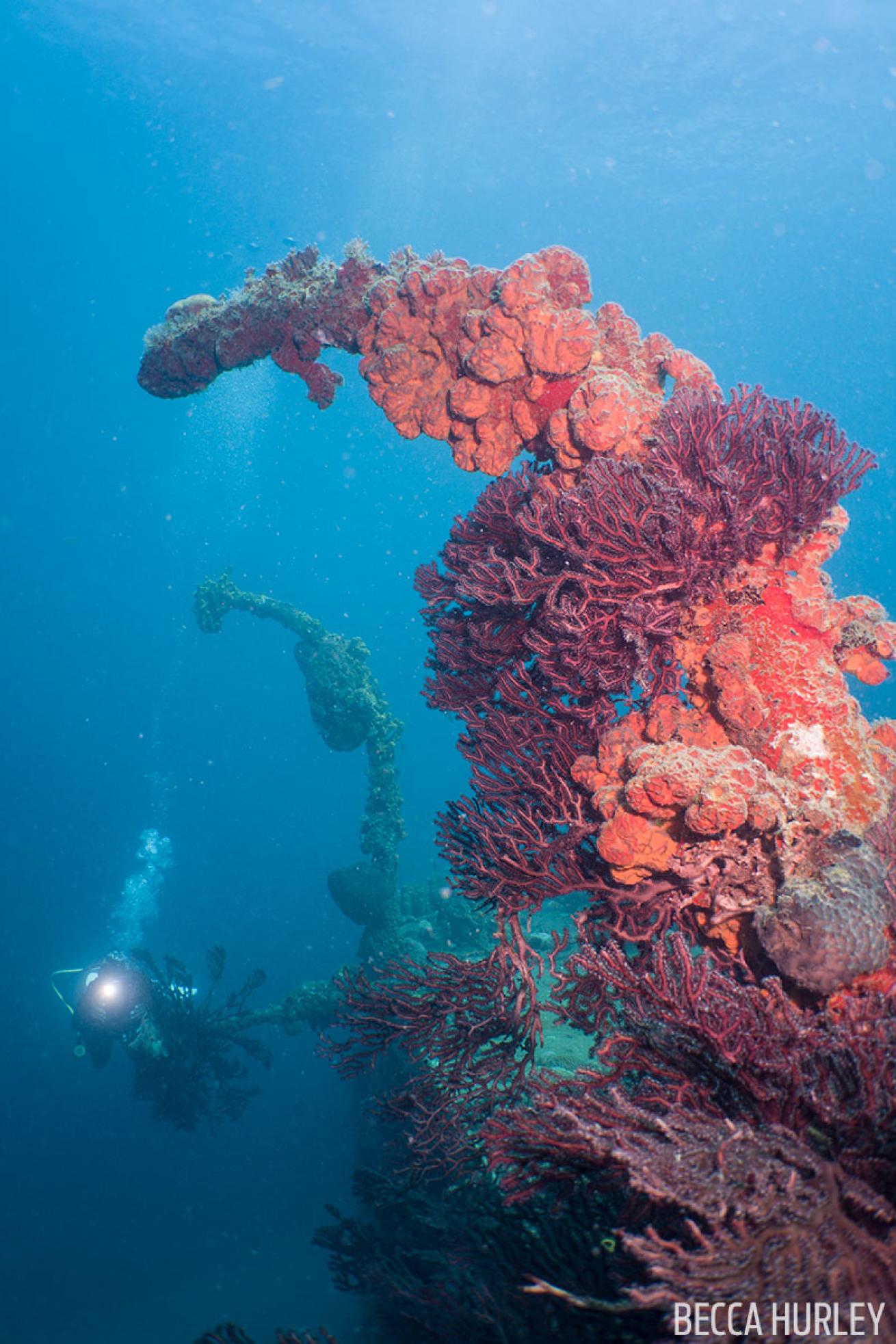 Shipwreck St. Lucia 