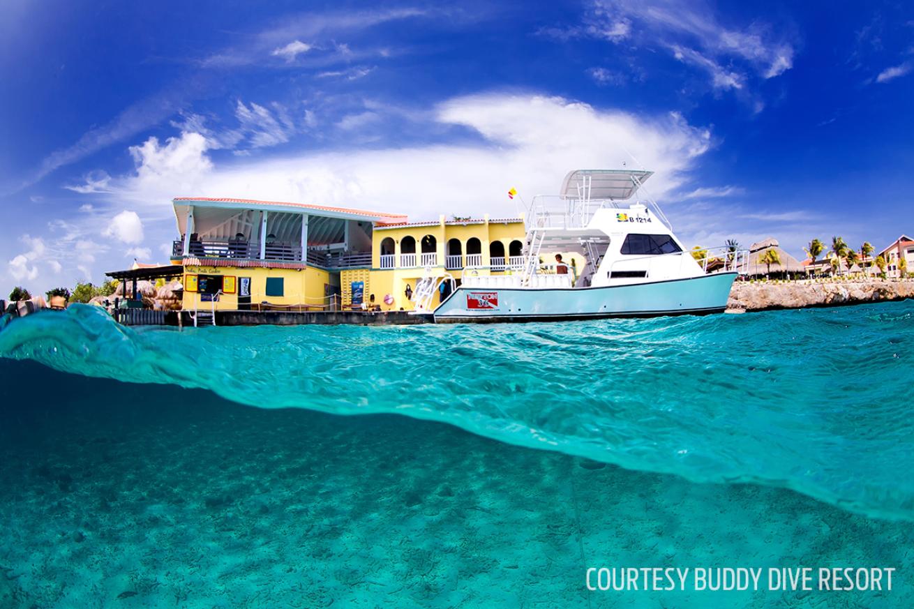 buddy dive scuba diving resort bonaire