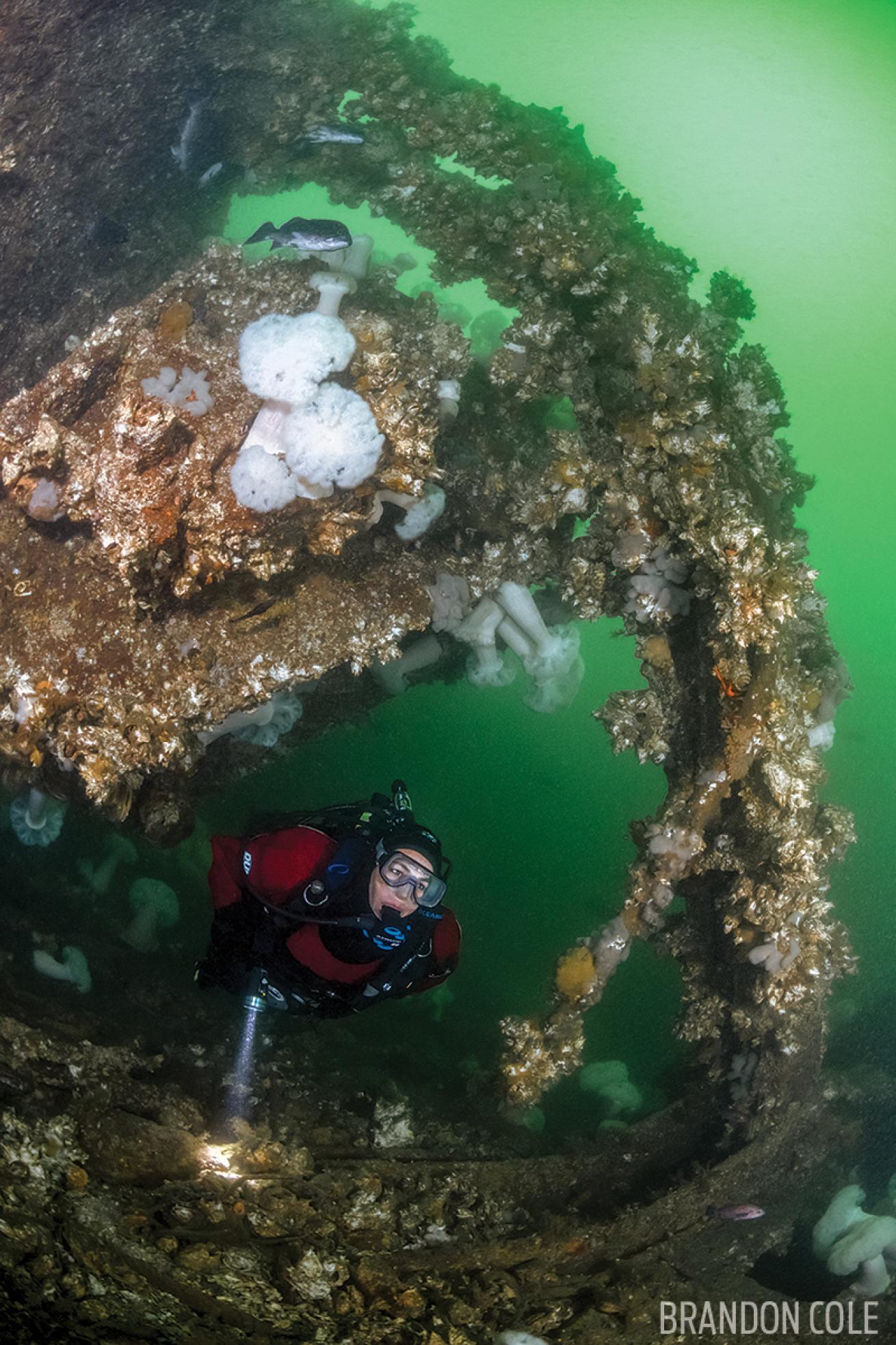 Diamond Knot Wreck Washington