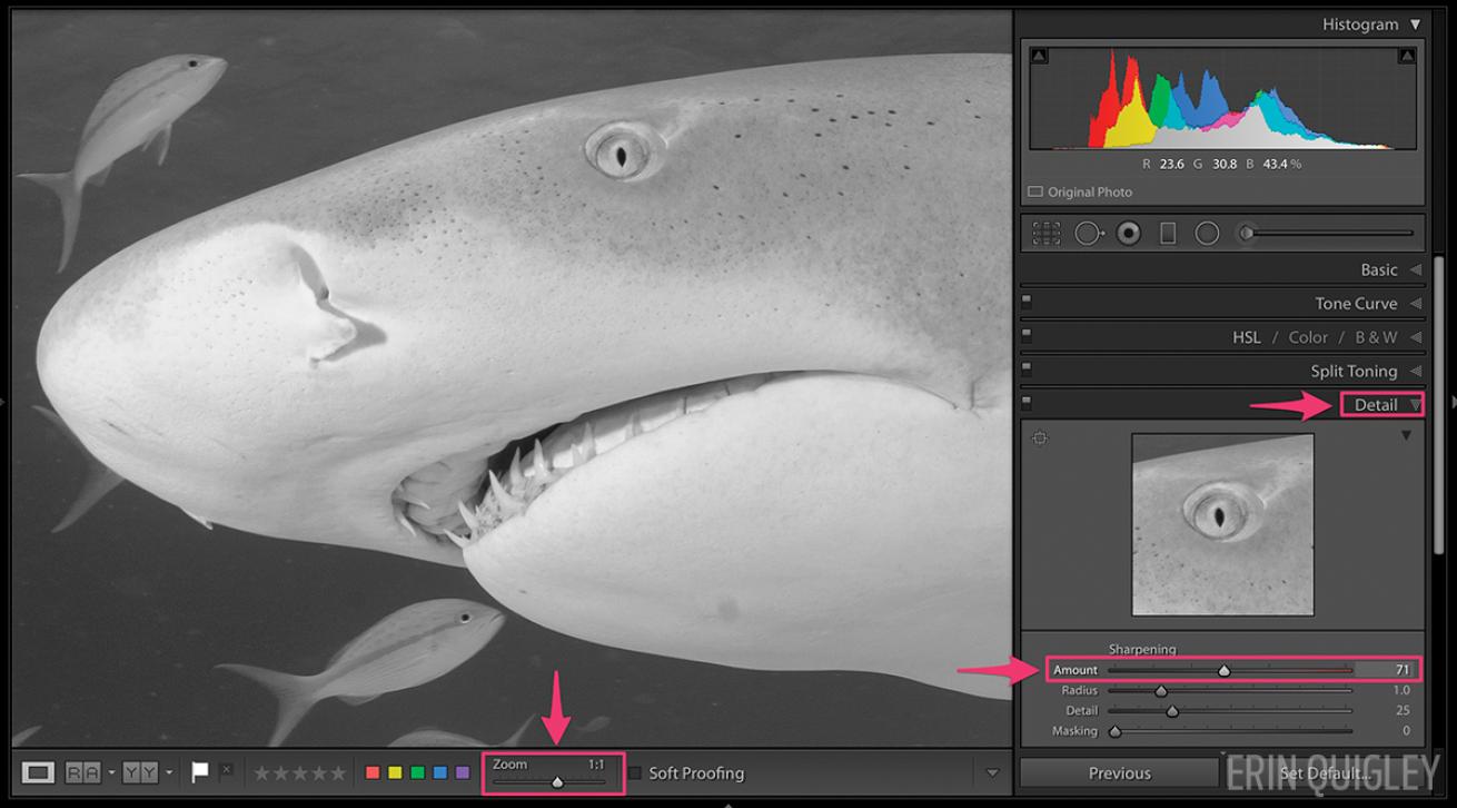 Amount Radius Filter Lightroom