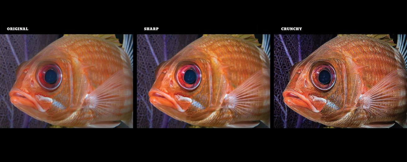 Imaging Tips for Sharpness