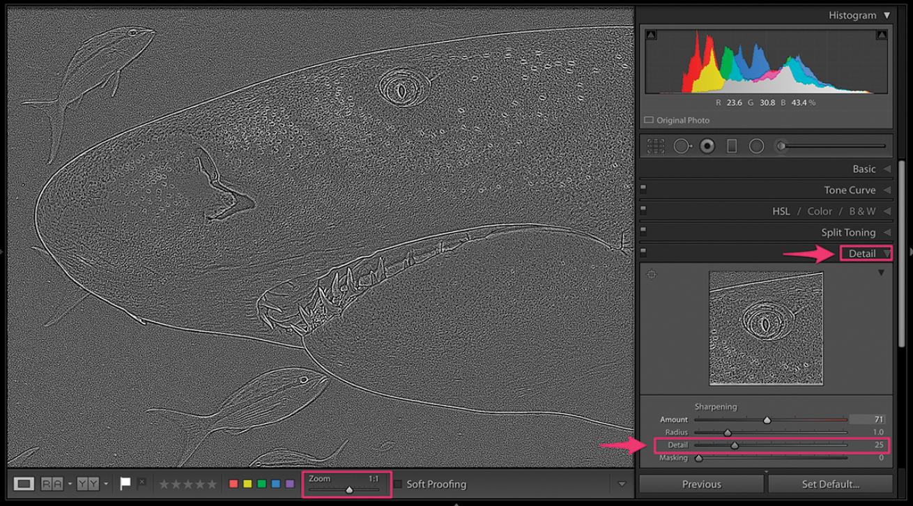 Detail Lightroom