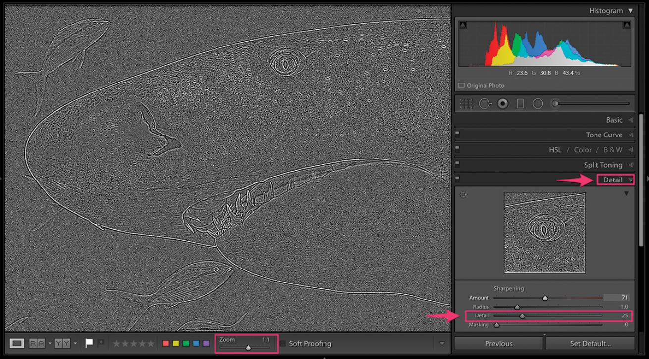 Detail Lightroom 