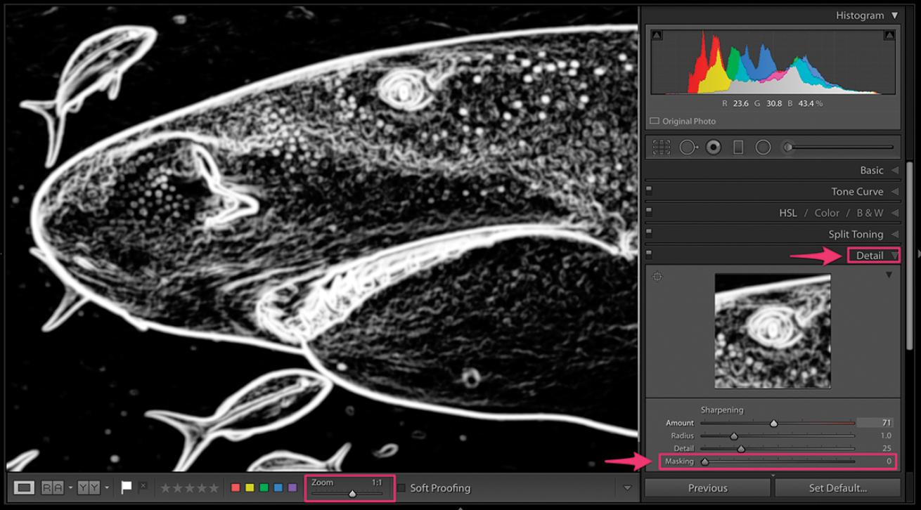 Masking Tool Lightroom