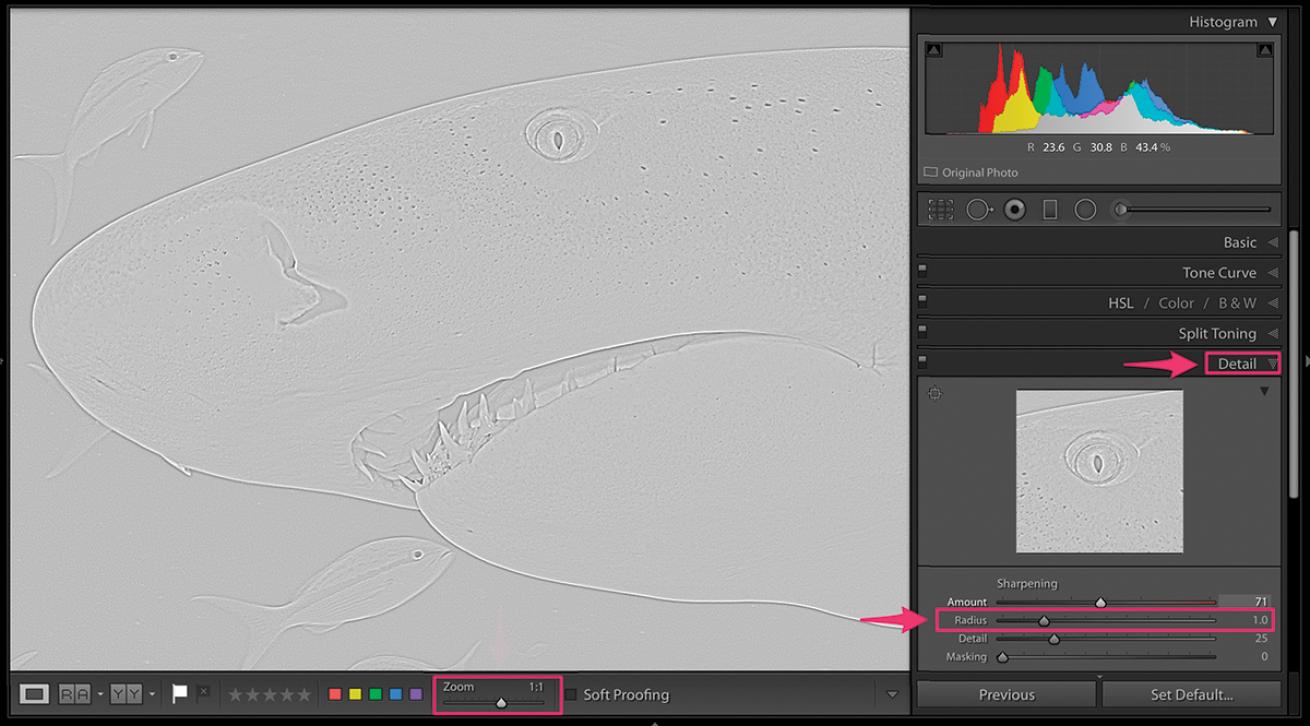 Radius Filter Lightroom