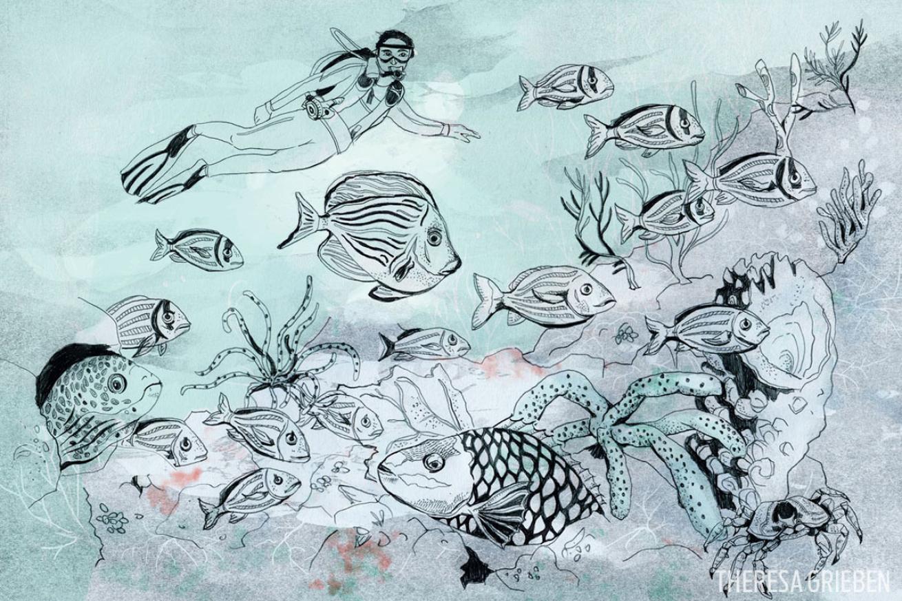 Cuba Diving