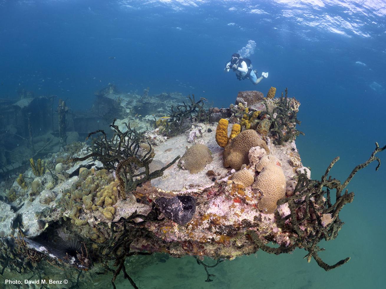 cuba isle of youth scuba diving