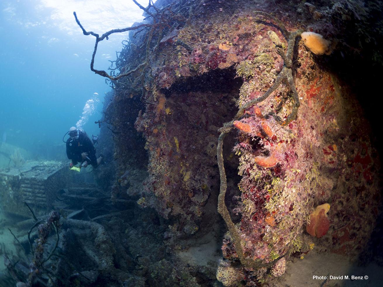 cuba isle of youth scuba diving