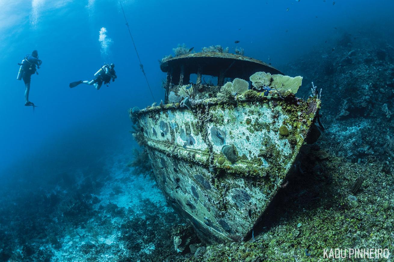 Roatan Shipwreck Dive Site