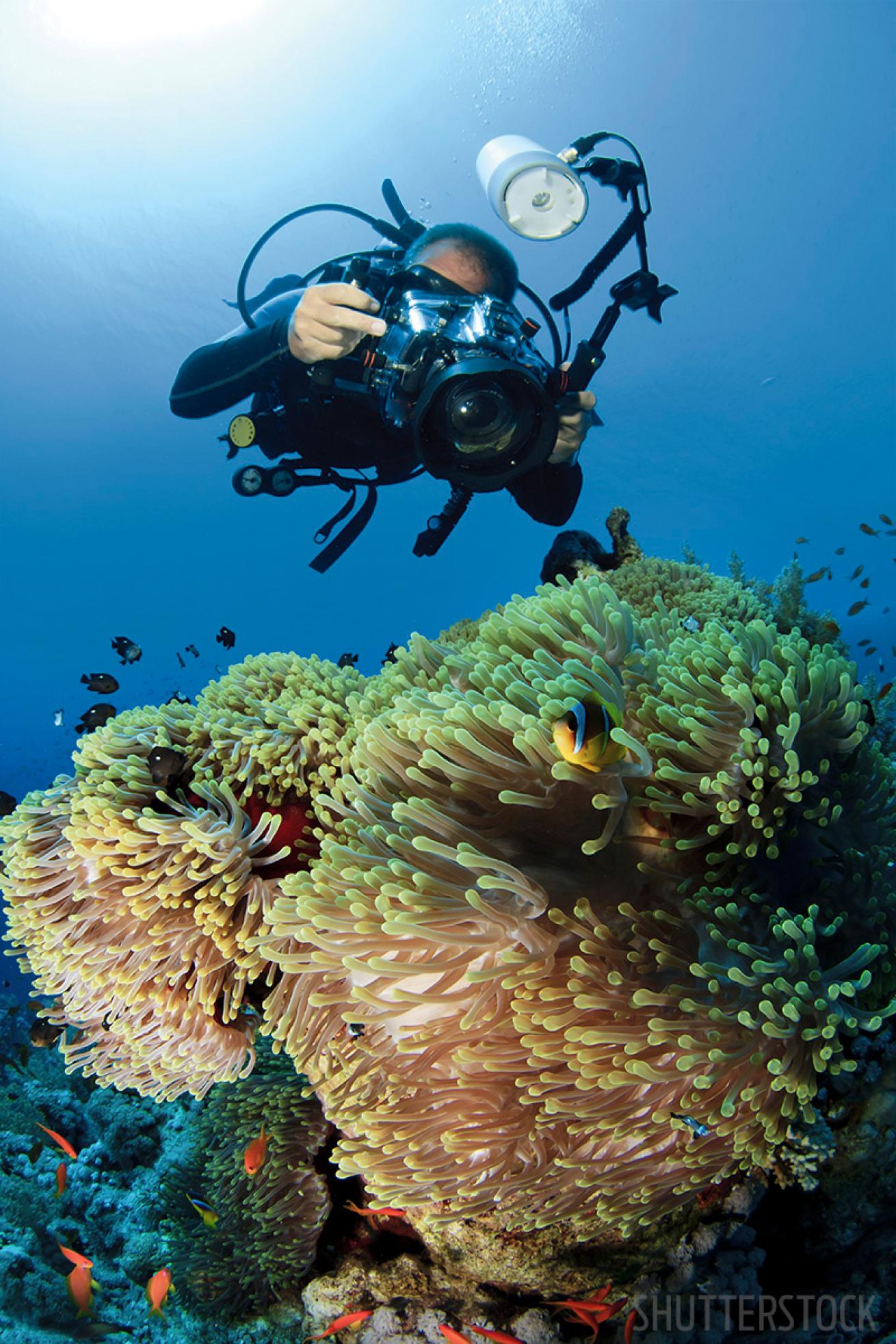 underwater photographer