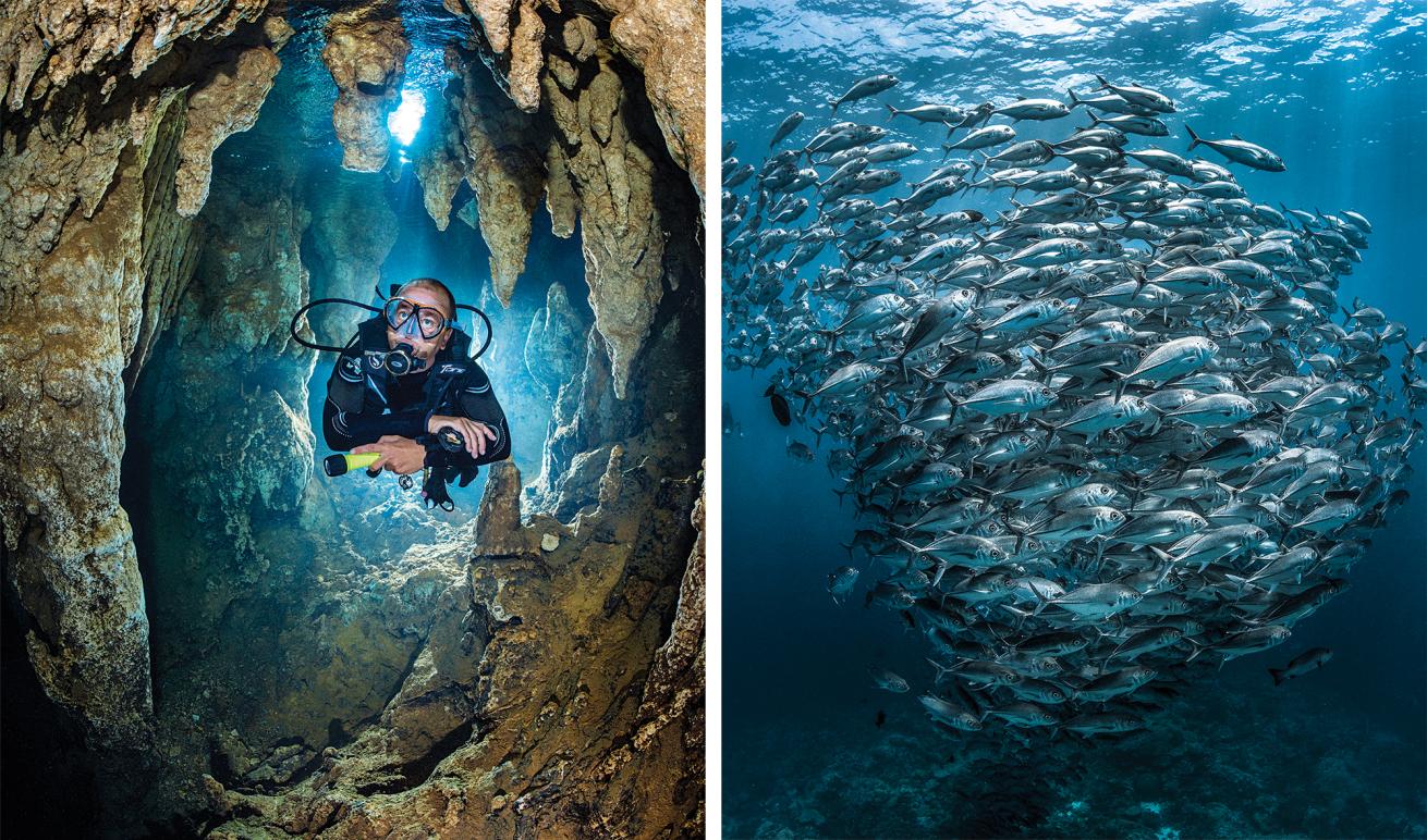 Palau scuba diving