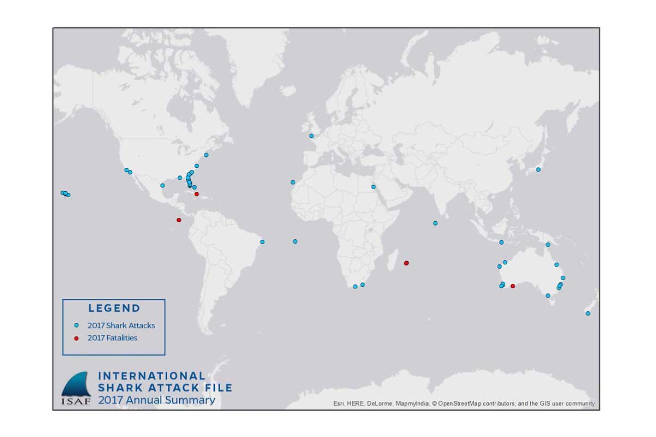 International Shark Attack File 2017