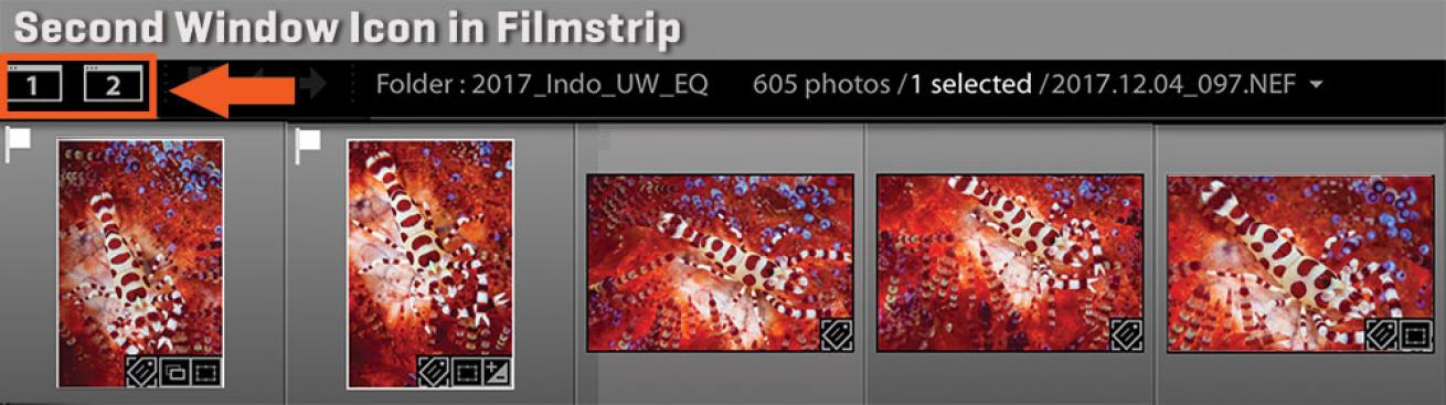 filmstrip