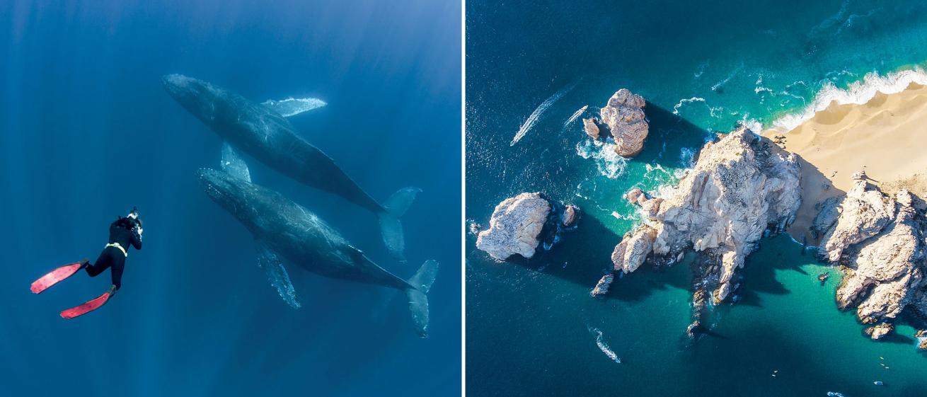 cabo san lucas