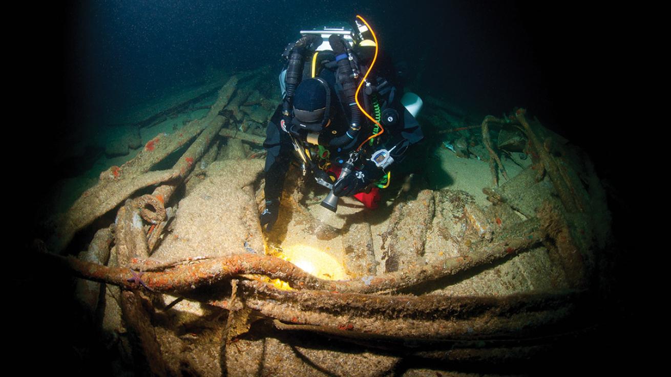 diving for treasure book