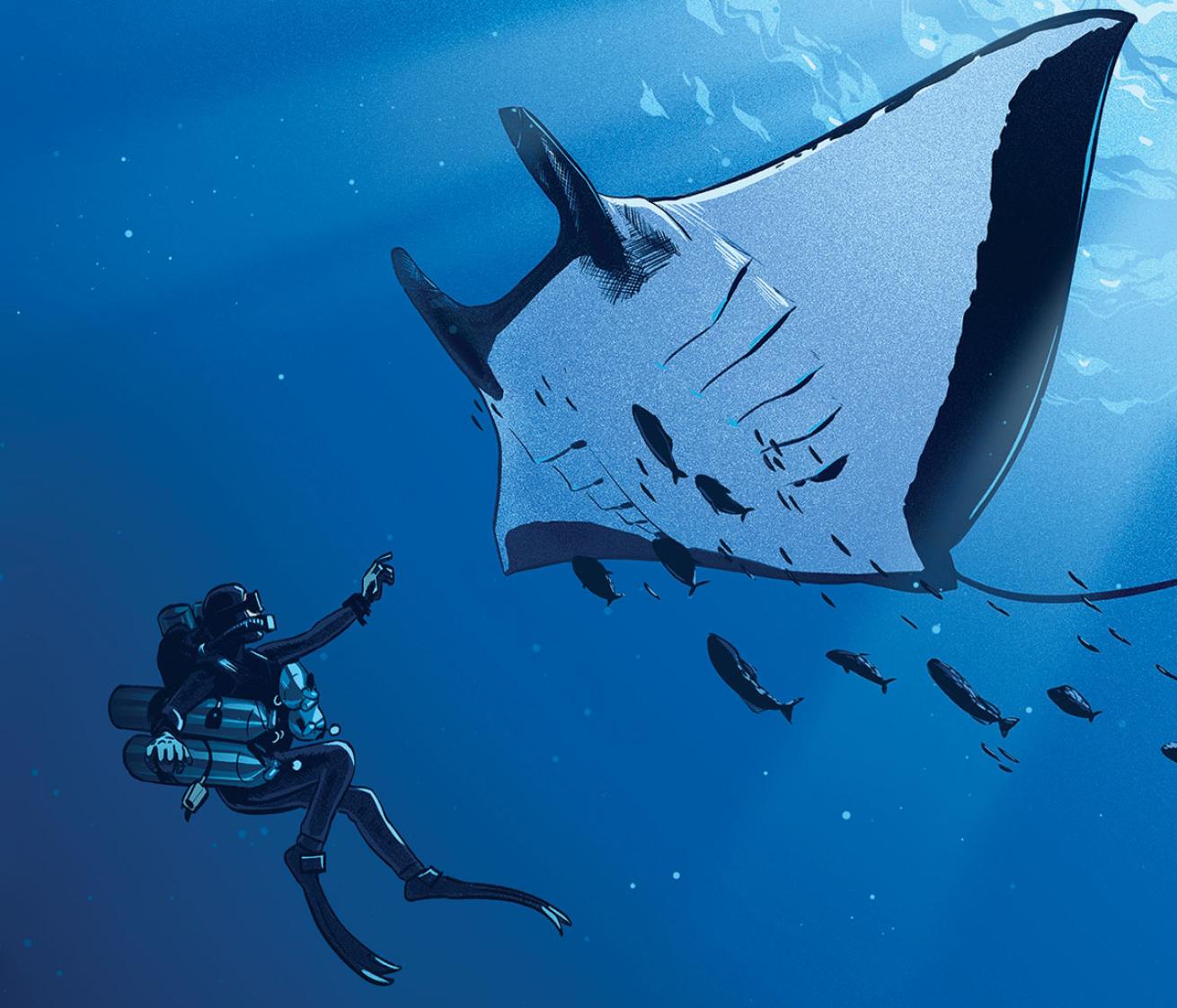 giant manta