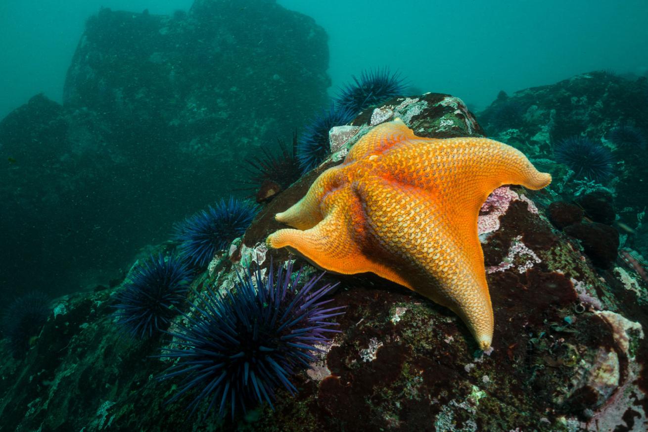 underwater creative lighting