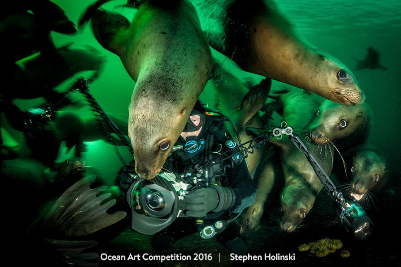 underwater photography contest winner