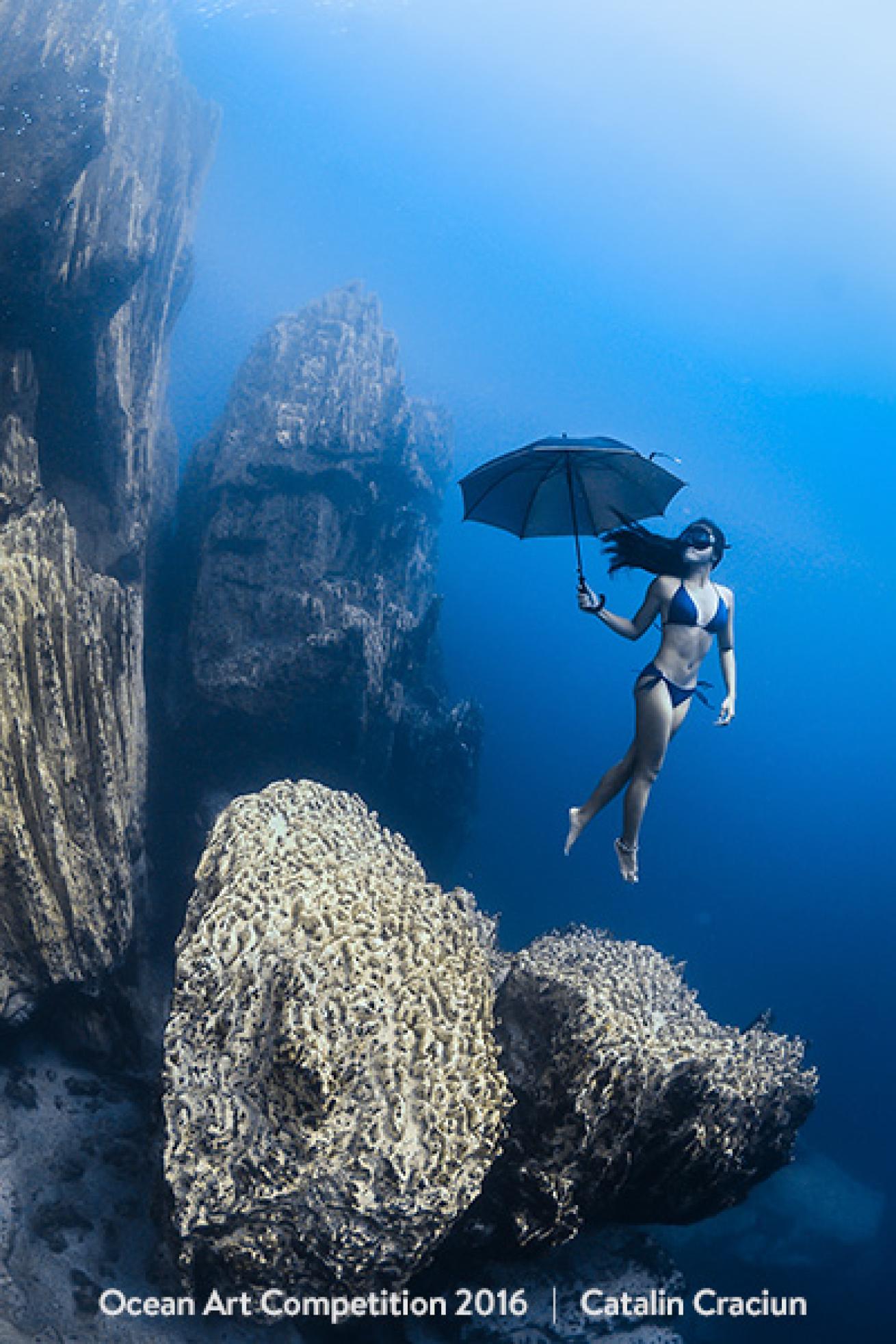 underwater photography contest winner