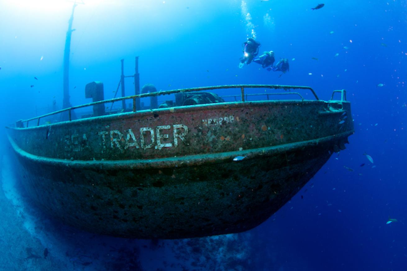 ©Stuart Cove’s Dive Bahamas