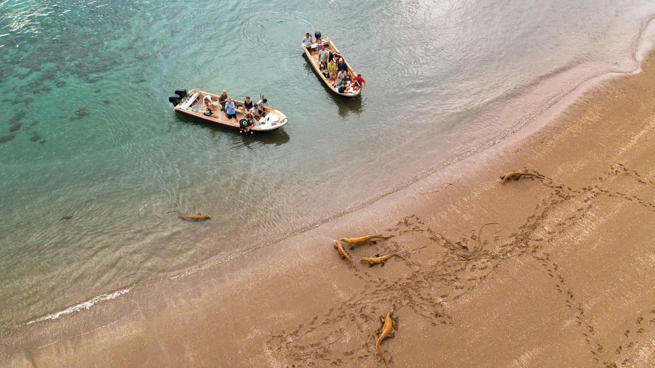 komodo national park