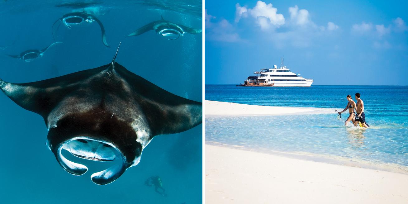 maldives liveaboard