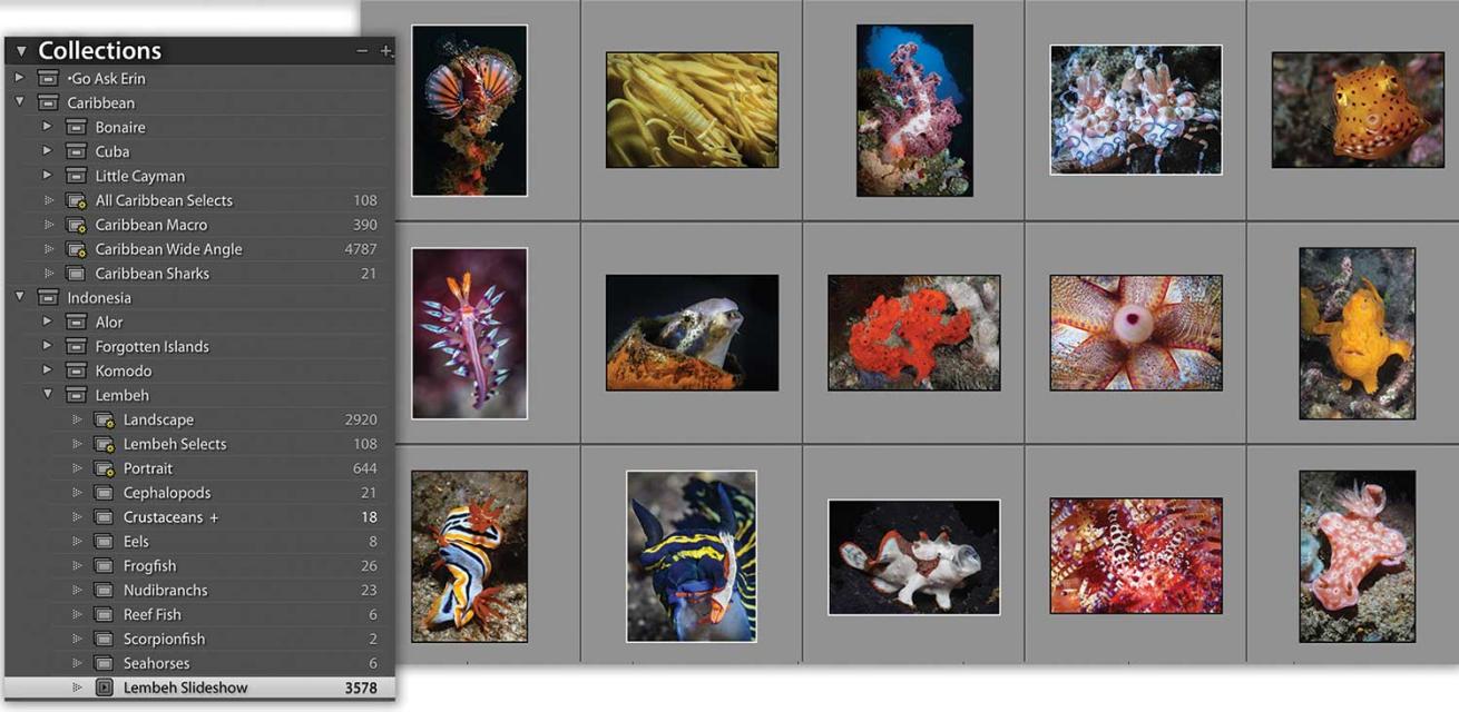 Adobe Lightroom