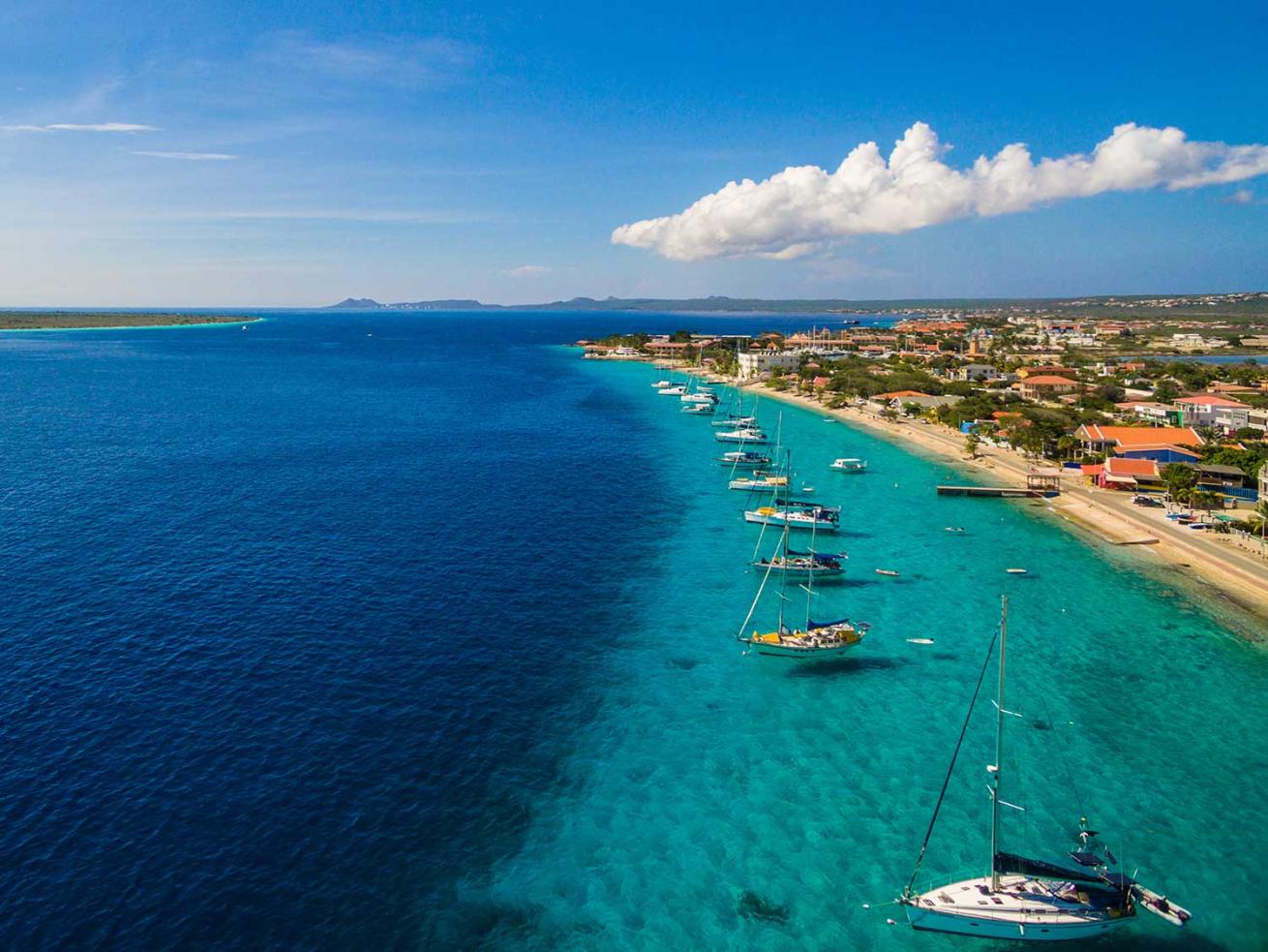 Bonaire Blue Destination