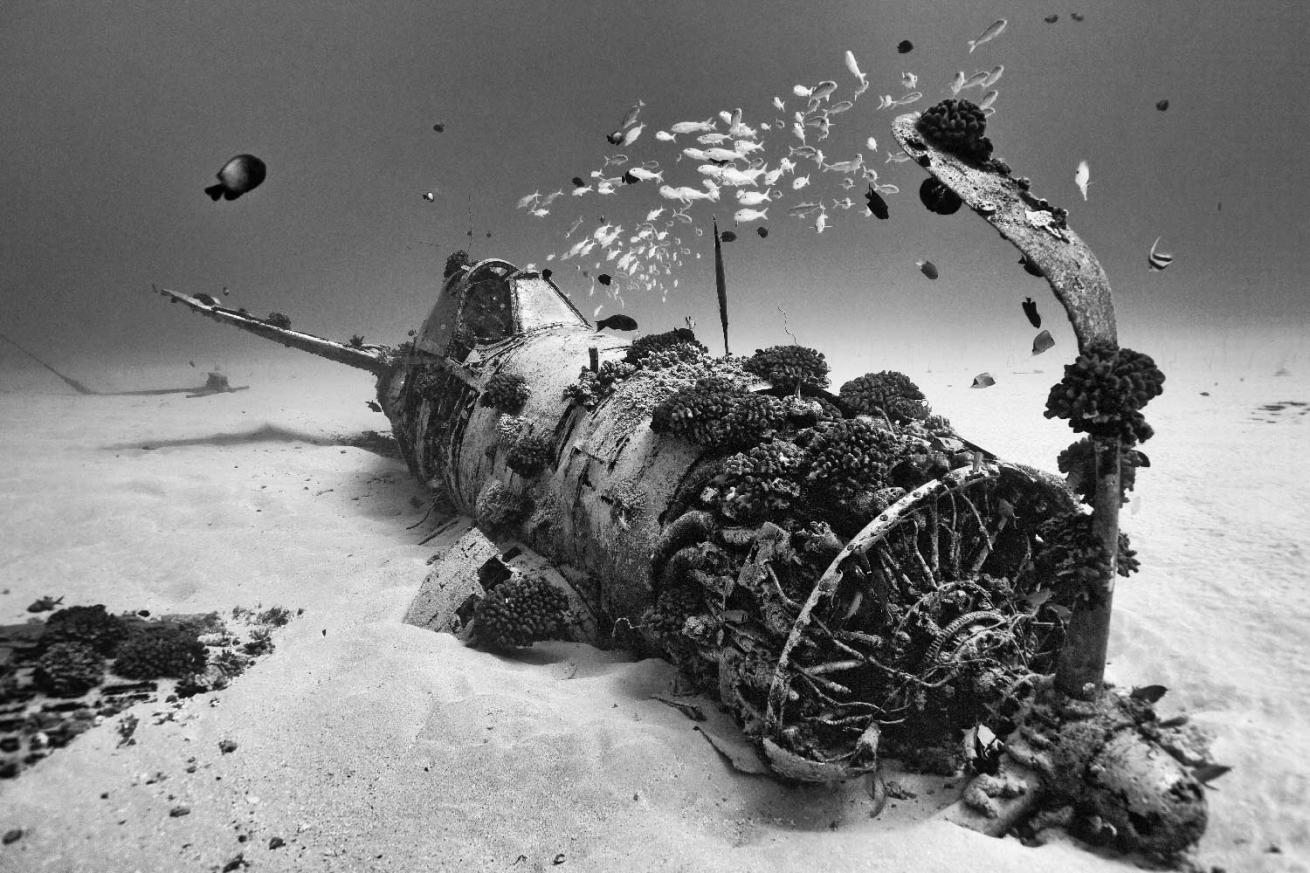 Corsair plane underwater