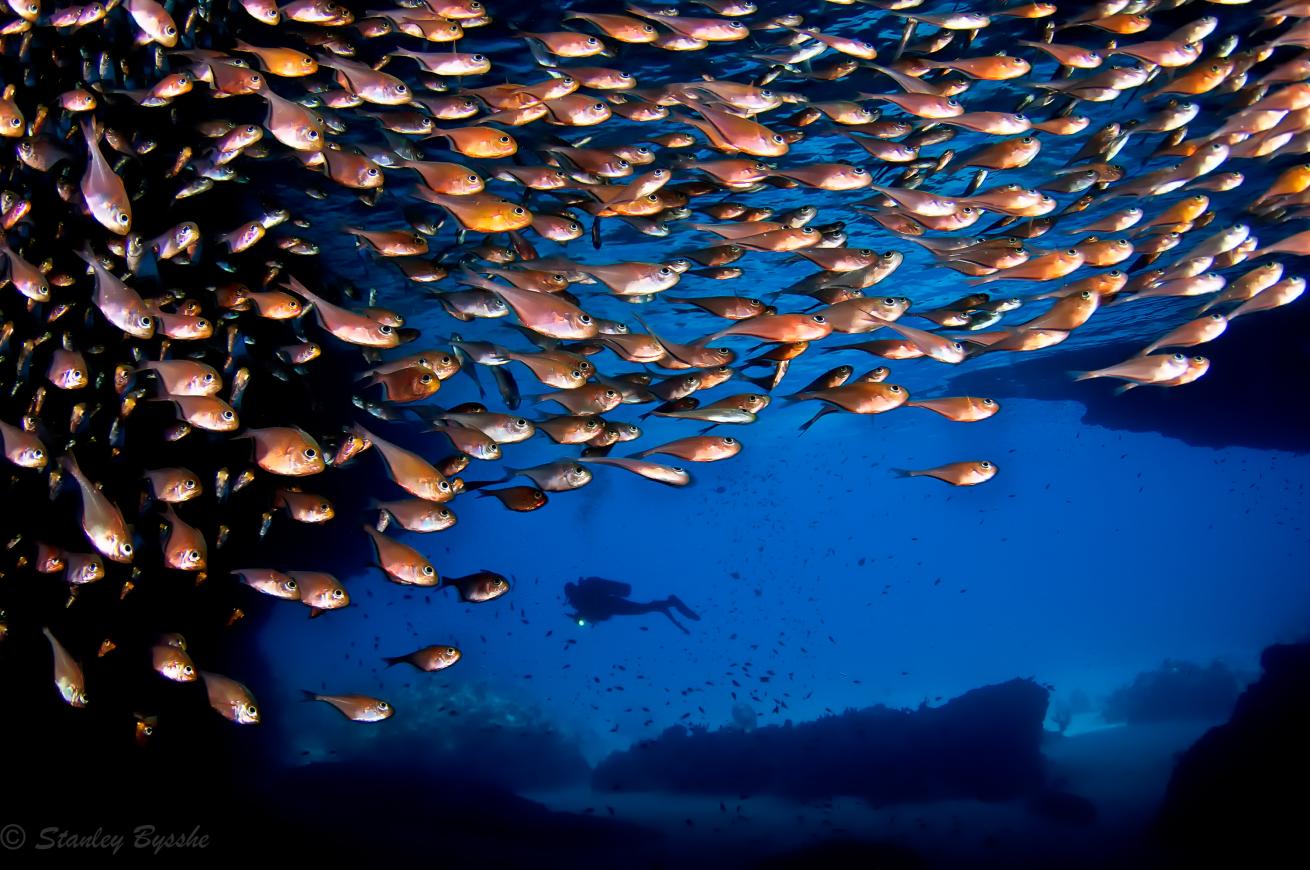 Blue room Curacao