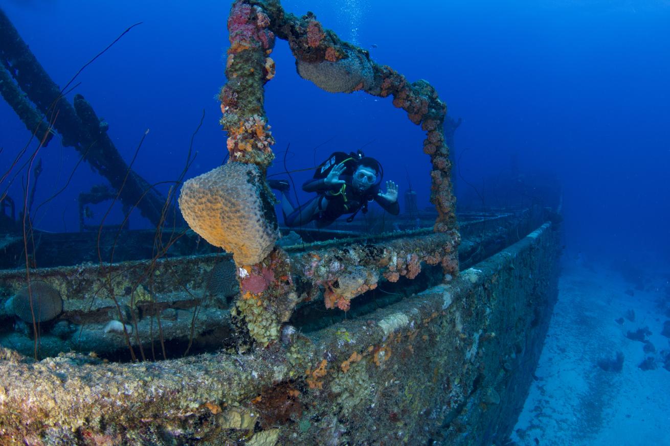 Superior Producer Shipwreck