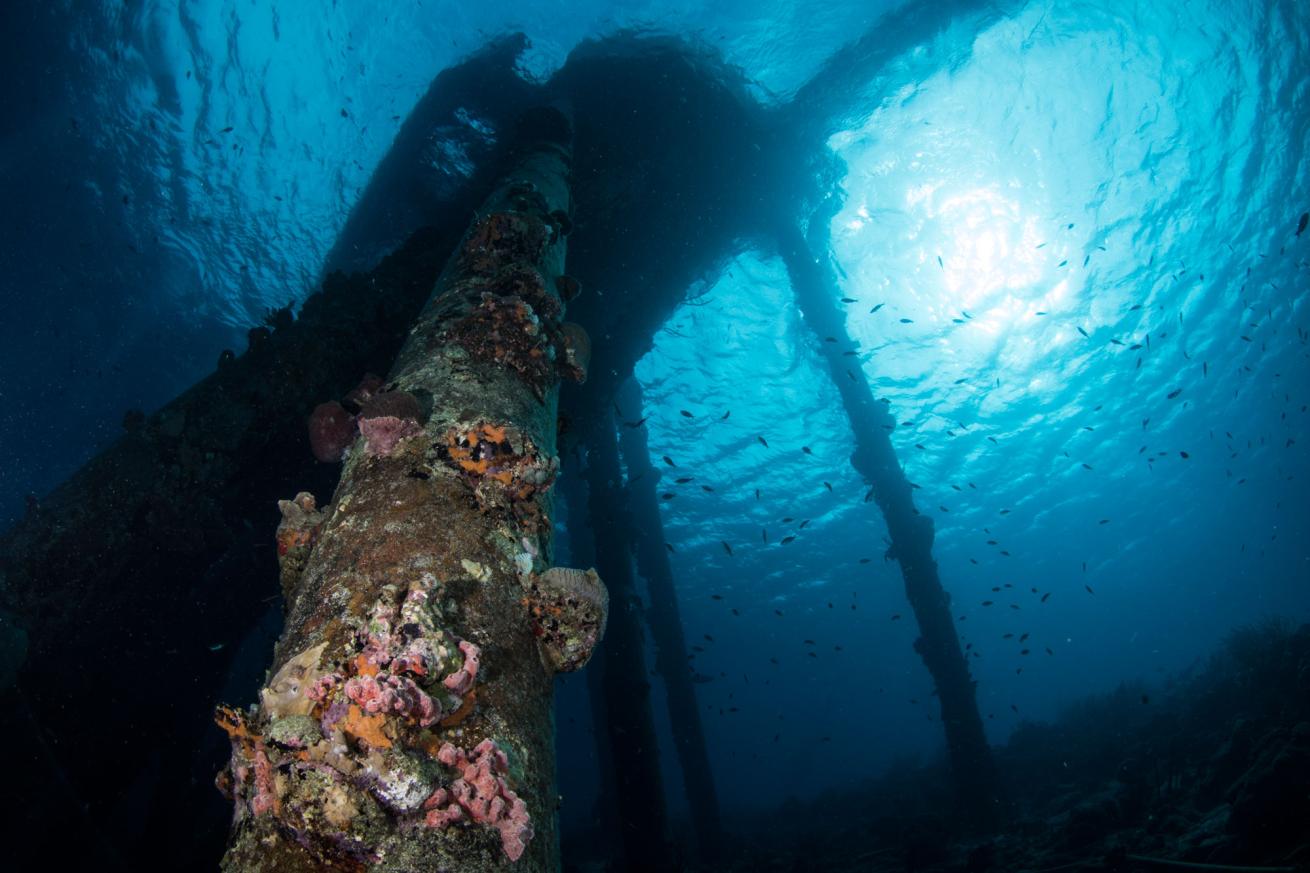 Bonaire underwater pier